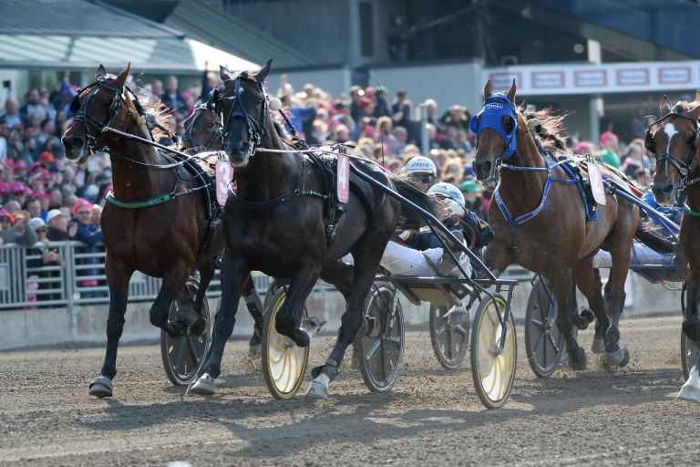 Nuncio Elitloppet